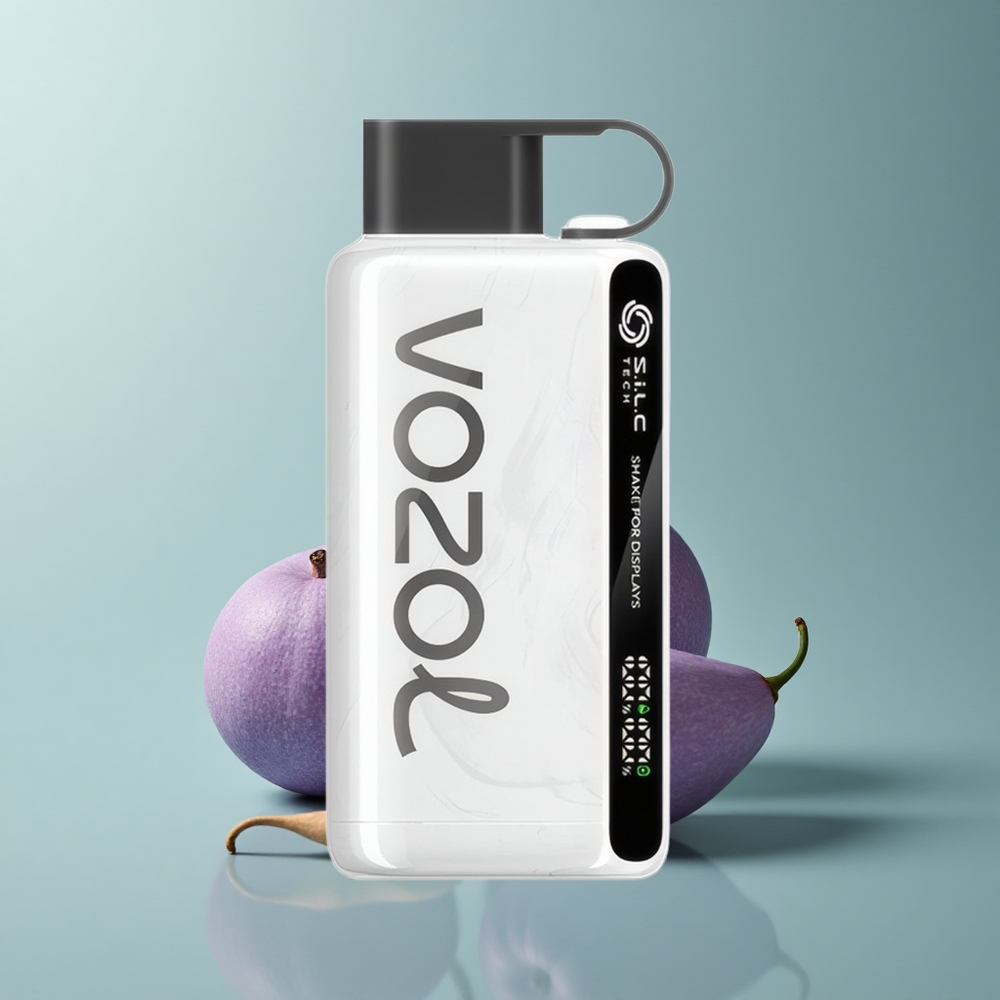 VOZOL STAR 9000/12000 Puffs Cigarro Electrónico Reciclado con Carga Rápida 30% y 650mAh